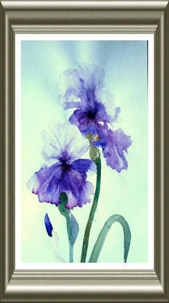 Aquarelle 2006 - Iris bleus (Emile Wouters)